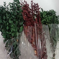 Yunnnan Preserved Flower Fine Leaf Eucalyptus Leaf Beautiful Leaf Eucalyptus Floating Bottle Photo F