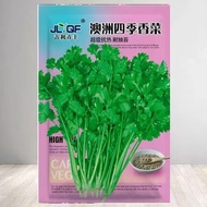 Four Seasons Small Coriander Seed Balcony Indoor Flower Potted Plant Courtyard Vegetable Seed Four S