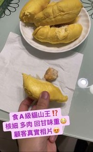 最後一水馬來西亞貓山王😍
