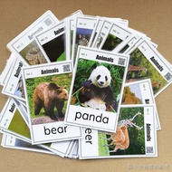 [English Natural Spelling Card] [Preschool English Teaching Flash Card] animals Animal Card English 