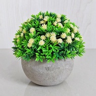 Tanaman Hias Bunga Plastik Sepaket Pot Rumput Soka Ornamen Artificial Dekorasi Ruangan COD PBP124