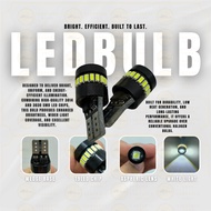 OAPC T10-3014+3030-19LED WHITE PAIR (13010)
