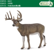 Simulation collta White Tail Deer He Toy 88832 UK I You Model Cognitive Forest Wildlife QH4E