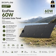 EcoFlow 60W Portable Solar Panel