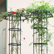 105cm Climbing Plant Support Rust Proof Decorative Umbrella Shape Potted Plant Stake Support For Ros