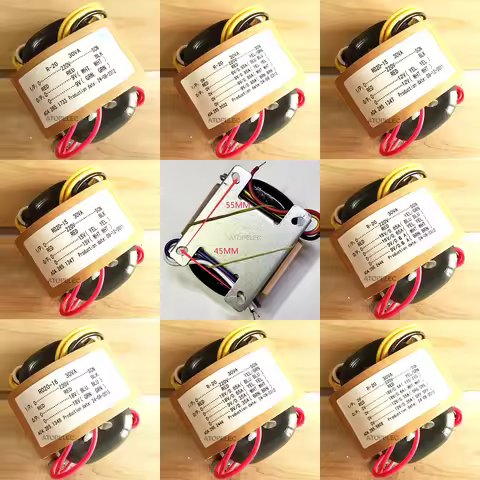 220V 30W R-Core Transformer for Hi-Fi Audio Amplifier Preamps AMP DAC 9V 12V 15V 18V 24V 100V R Core