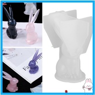 AURORY  Rabbits Resin Mould, Silicone  Long Ears Rabbits Mould, Resin Casting Mould Transparent Bunn
