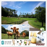 【苗栗】飛牛牧場-單人入園全票+彩繪肥牛DIY(寄送實體票券) #實體票券
