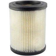 BALDWIN PA2083 Axial Seal Air Filter Elements