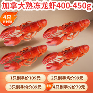 Henstar 加拿大熟冻波士顿龙虾400-450g/只 送礼佳品水产年货