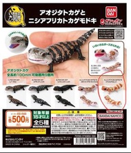 日版瘤尾守宮扭蛋