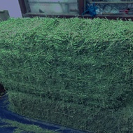 ALFALFA/ TIMOTHY  HAY IMPORTED 10KG
