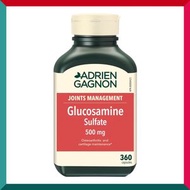 楓之寶 - 楓之寶關節健康葡萄糖胺500毫克360粒膠囊 平行進口 (參考效期:31/05/2025*)