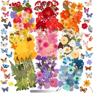 318 PCS Pressed Flowers Butterfly Stickers for Craft, Real Dried Pressed Flowers Bulk Natural Dry Fl