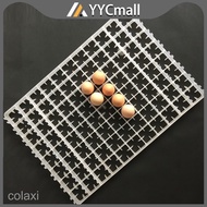 221Pcs Pugo Egg Tray Universal Incubator Tray 36x50x3cm Heavy Duty Quail Egg Tray