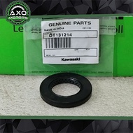 DT131214 Dust Seal Rear Hub Dominar400