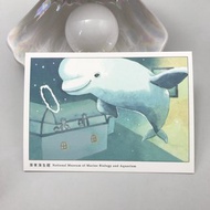 海生館小白鯨 - 明信片