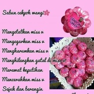 Sabun pencuci miss v wanita