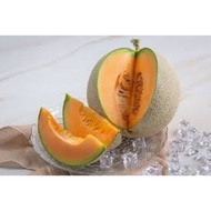 Rock Melon Buah Rock Melon 1Biji