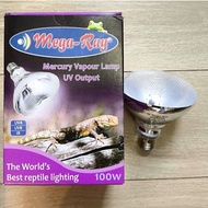 Mega-Ray 100W 爬蟲燈泡，適用於爬蟲類。提供 UVA、UVB 和 IR 紅外線輸出。
保暖 爬蟲燈泡 寵物缸 盾臂 象龜 陸龜沙漠蜥蜴龍貓 寒流過冬 保溫 仿太陽 發熱燈泡