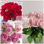 perkakas rumah [🌹READYSTOCK现货🌹] (10pcs) ROSES 玫瑰 FRESH FLOWER BUNGA SEGAR ROSE Cameron Highlands