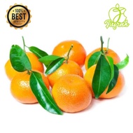 Jeruk Santang Daun Mandarin Manis - 500gr