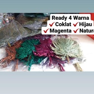 Dried Fern Leaves #2 Contents 4-6 hands