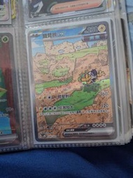 Pokemon Card      sar