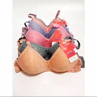 Yiyi Underwire Bra / Size 32 34 36 38 Real Picture/ Cup A / Good Quality