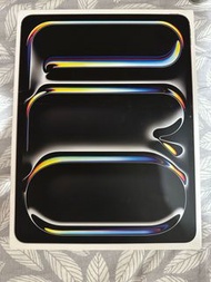 Apple silver iPad Pro 2024 7th generation 13 inch 256GB Wifi 版
