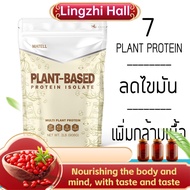 การดูแลสุขภาพ ✍MATELL Plant-Based Protein Isolate แพลนต์เบสด์ ไอโซเลท โปรตีนพืช 7 ชนิด ลดน้ำหนัก เพิ