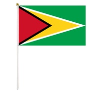 10Pcs Guyana Flag National Flag