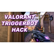 🔥VALORANT 2021 *DECEMBER UPDATED* HACKS (TRIGGERBOT) UNDETECTED + NO HWID BAN🔥 LIFETIME USAGE + NO E