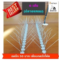 หนามกันนก หนามไล่นก ปลายแหลมฐาน polycarbonate จำนวนหนาม120 ขาต่อเมตร