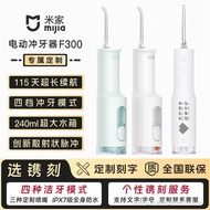 Customer Favorite Xiaomi Mijia Electric Flosser F300 Portable Flosser Tooth Water Floss Lettering Cu