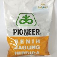 Benih Jagung Hibrida PIONEER Brand P21 Dahsyat Bibit Jagung Terbaik