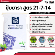 ปุ๋ย เรือใบ ยารา สูตร 16 16 16 / 8 24 24 / 46 0 0 / 25 7 7 / 15 0 0 / 13 13 21 /  21 7 14  ปุ๋ยเร่งด