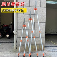 Extended Garden Pruning Shears Lawn Shears Hedge Shears Fruit Tree Shears Garden Pruning Branches Te