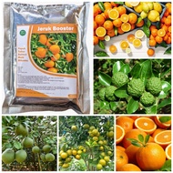Pupuk Booster Jeruk Organik Agar Cepat Berbuah Lebat perangsang Khusus Pembuahan Buah Saat Sedang Be