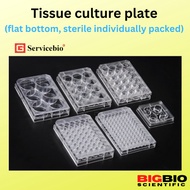 (READY STOCK) 96 Well Plate (TC-treated) (ELISA/antioxidant plate)