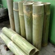 Bambu Rumah Tokek - Kandang Tokek kandang bambu Kandang Gecko