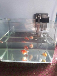 Lọc thác 606H kèm 1 bông lọc