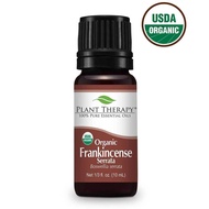 Plant Therapy Frankincense Serrata Organic Essential Oil