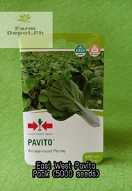 Pavito Petchay Seeds by East West seeds Pack ( 5000 seeds )