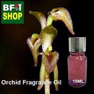 Orchid Fragrance Oil - Creeping forest orchid (Australia) > Townsonia viridis