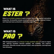 MOTION Ester PAO API SP Formulated Fully-Synthetic Engine Oil (5W40/4L)