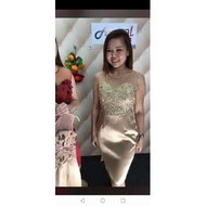 Luxury Shining Beige Color Dinner Dress