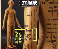 （平出/不議價）全新 中醫針灸 穴位人體模型 可扎針 十二經絡圖 銅穴位 全身小皮人 62cm 女模
