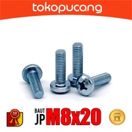 100pcs JP Bolts M8X20 mm Plus Screwdriver Bolts M8x20mm Plus Bolts M8 x 20mm