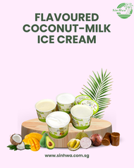 Flavoured Coconut Milk Ice Cream (14 Oz)